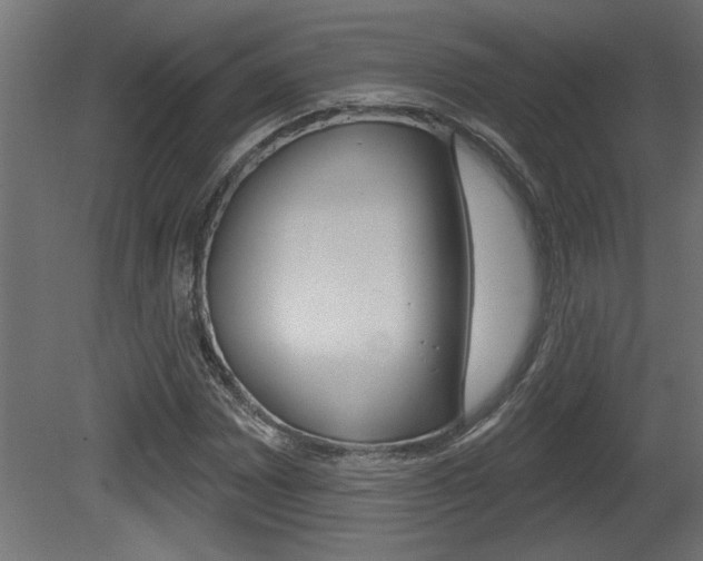 X0000081461065200701121035