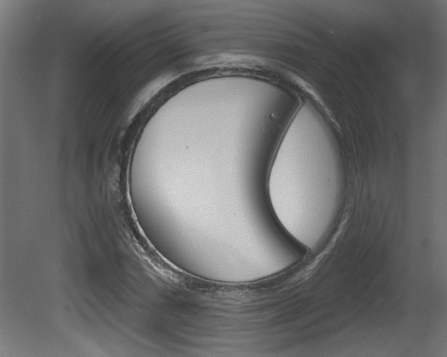 X0000081461066200701121035
