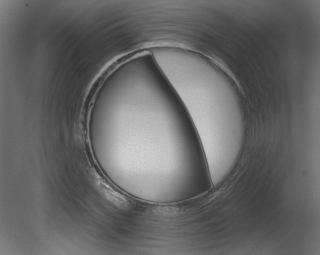 X0000081461068200701121035