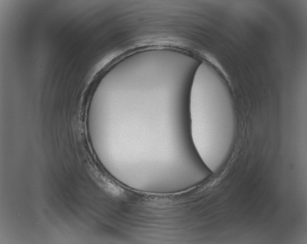 X0000081461071200701121035