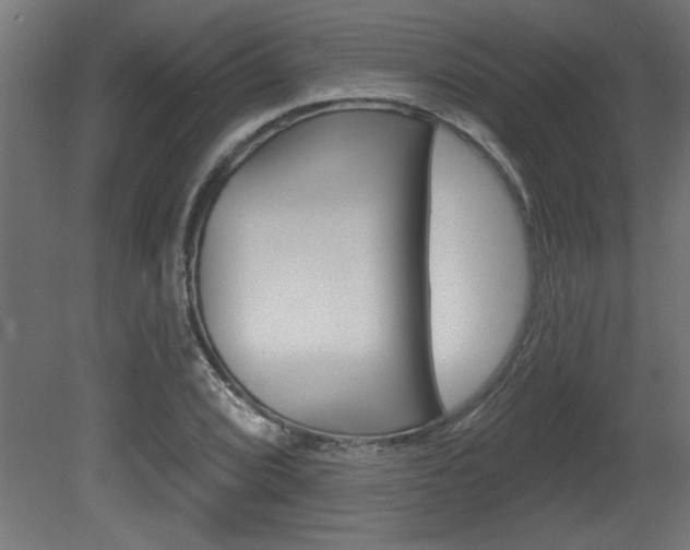 X0000081461072200701121035