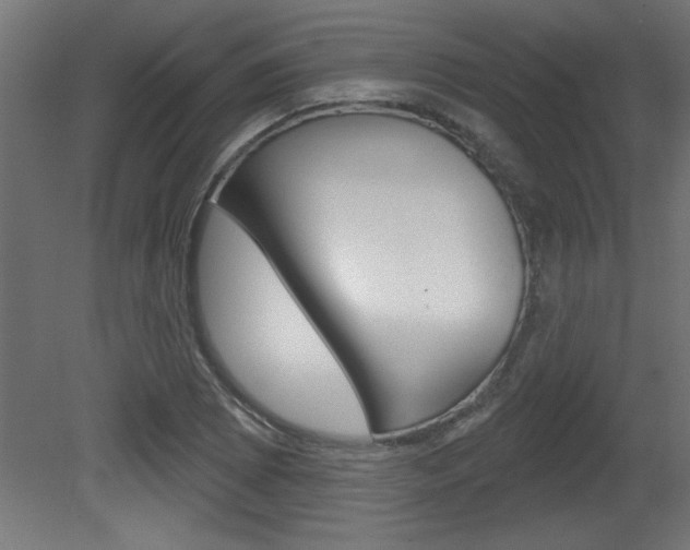 X0000081461073200701121035