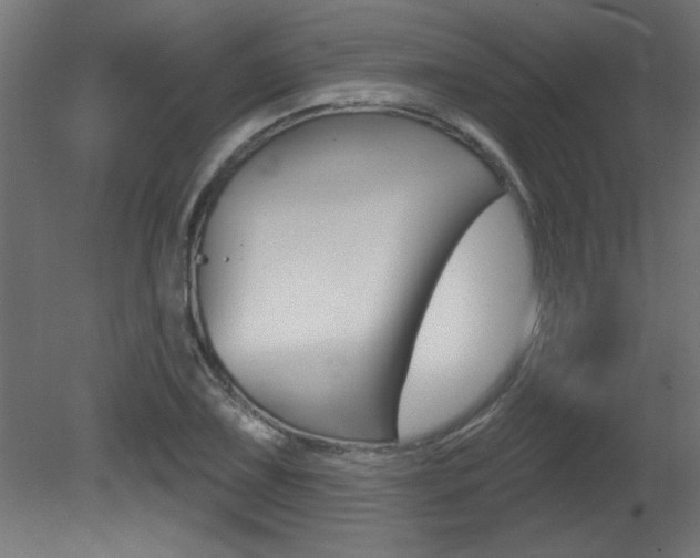 X0000081461075200701121035