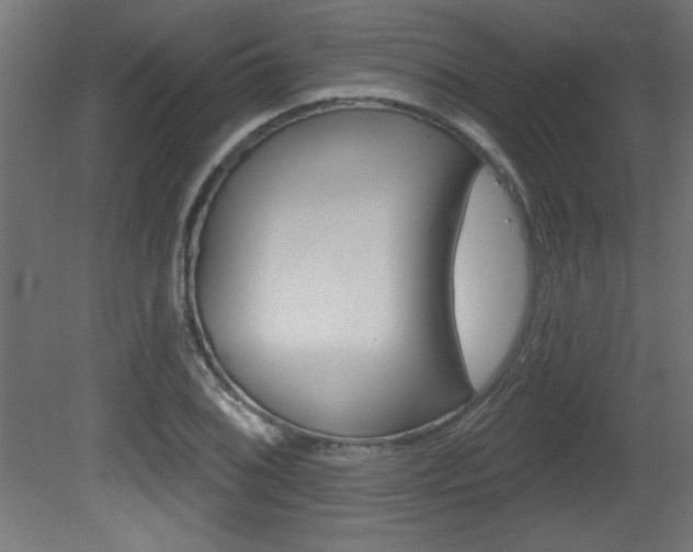 X0000081461076200701121035