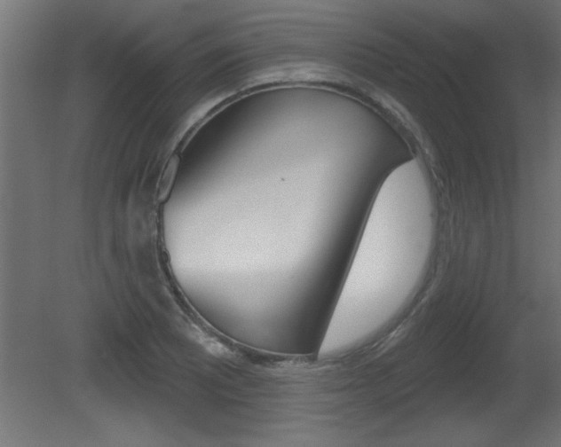 X0000081461081200701121035