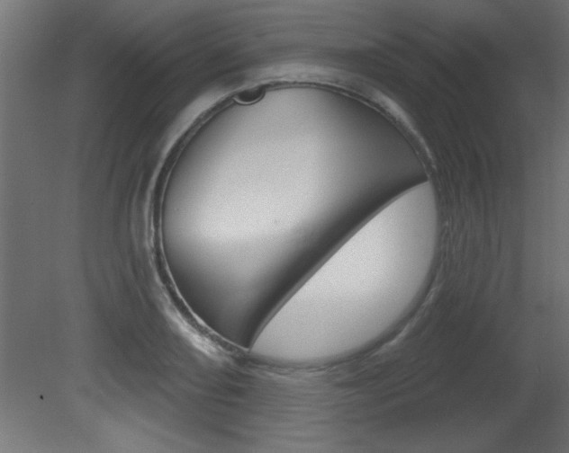 X0000081461082200701121035