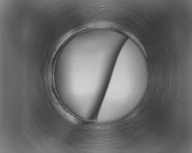 X0000081461083200701121035