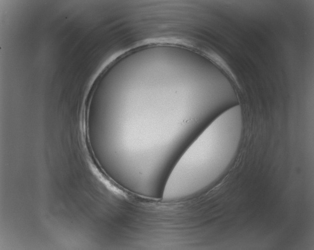 X0000081461084200701121035