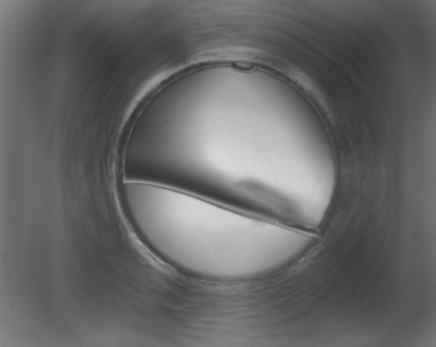 X0000081461085200701121035