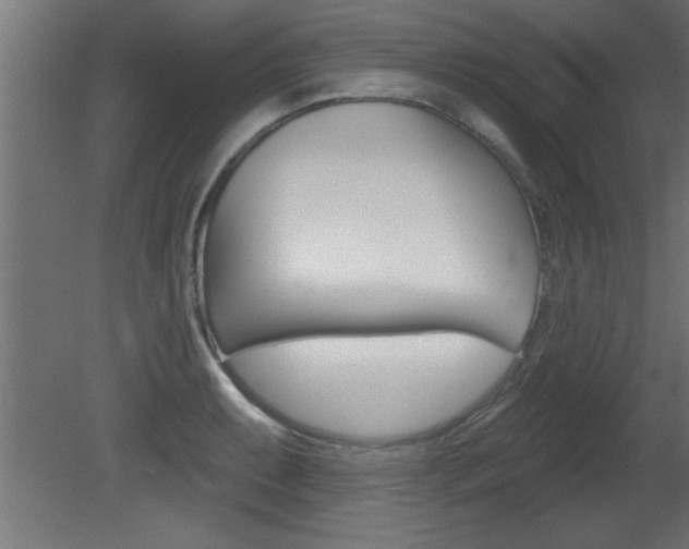 X0000081461087200701121035