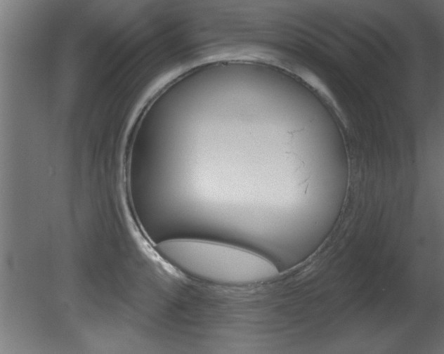 X0000081461088200701121035