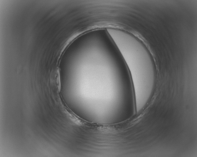 X0000081461089200701121035