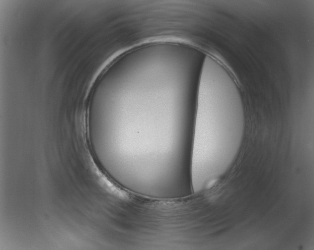 X0000081461092200701121035