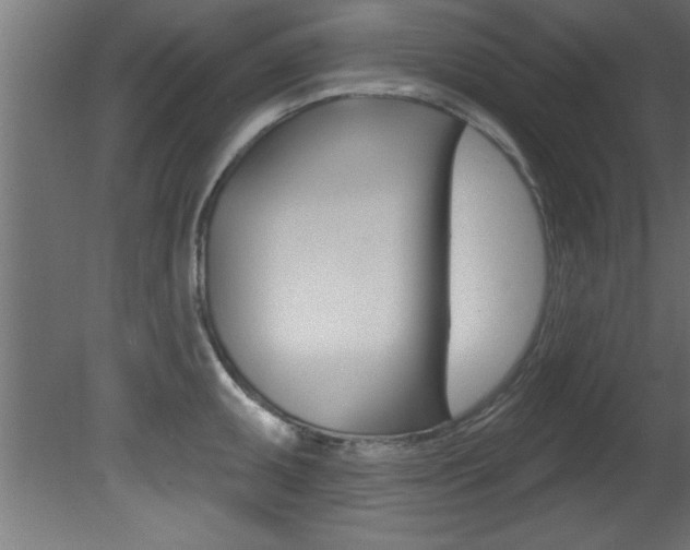X0000081461095200701121035