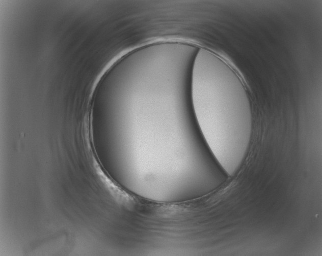 X0000081461100200701121035