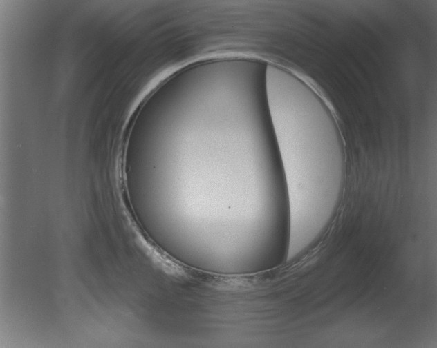 X0000081461101200701121035