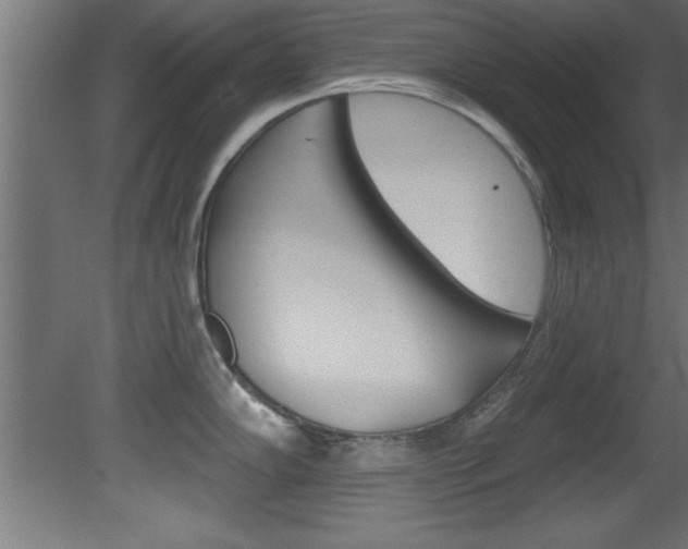 X0000081461102200701121035
