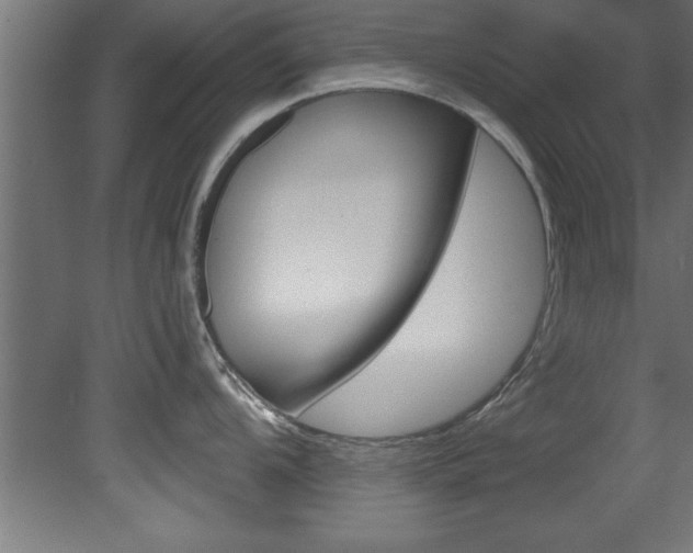 X0000081461104200701121034