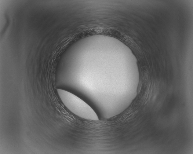 X0000081461105200701121034