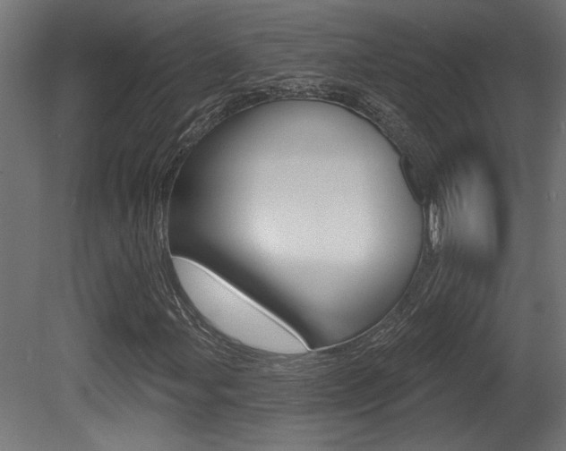 X0000081461107200701121034