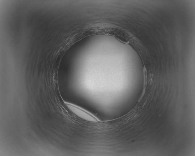 X0000081461108200701121034