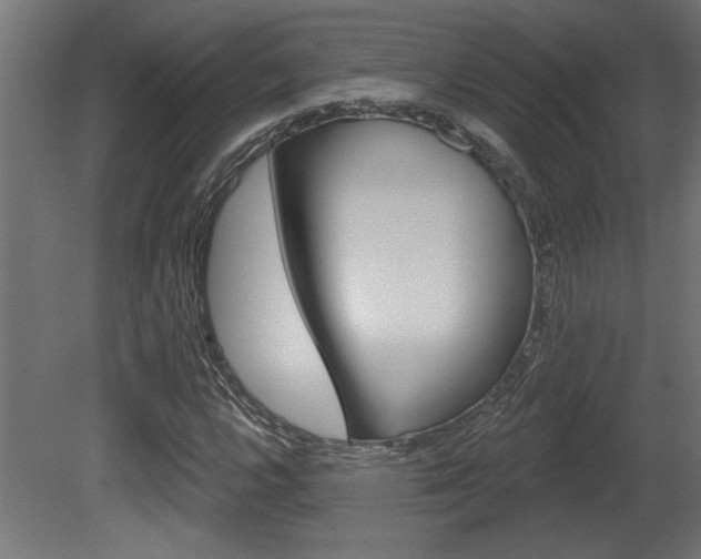 X0000081461112200701121034