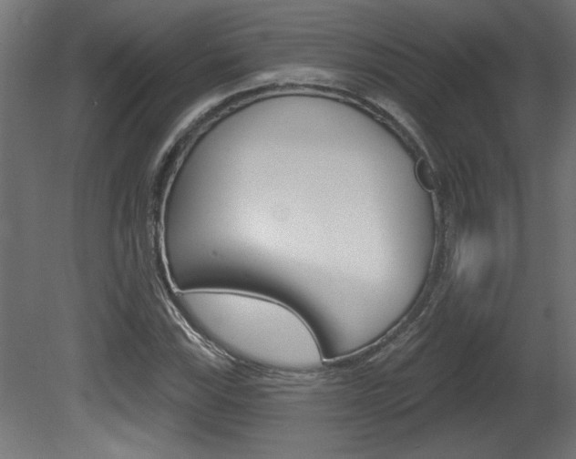 X0000081461115200701121034
