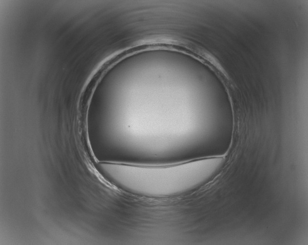 X0000081461116200701121034