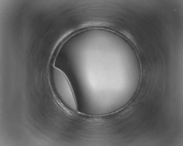X0000081461119200701121034