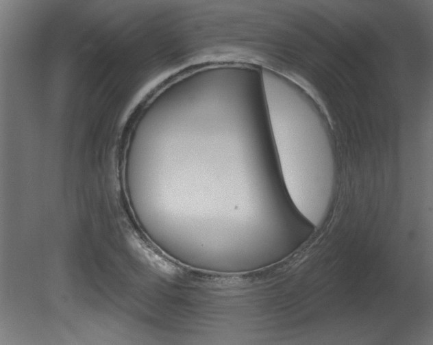 X0000081461120200701121034