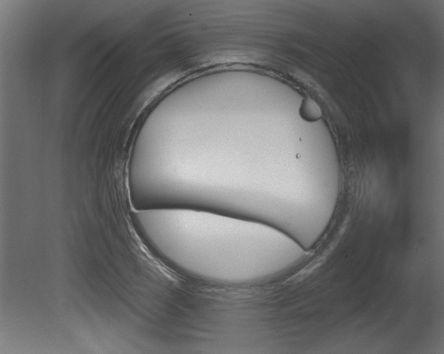 X0000081461121200701121034
