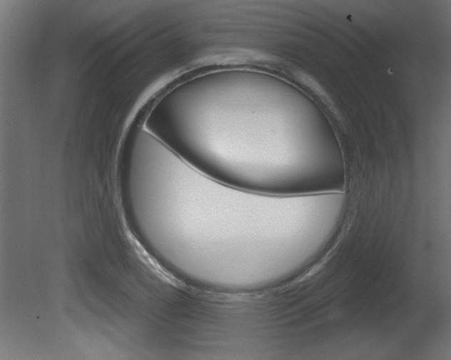X0000081461122200701121034