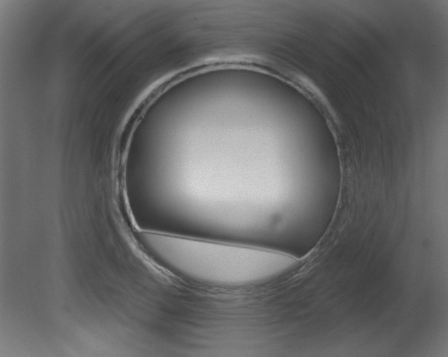 X0000081461124200701121034
