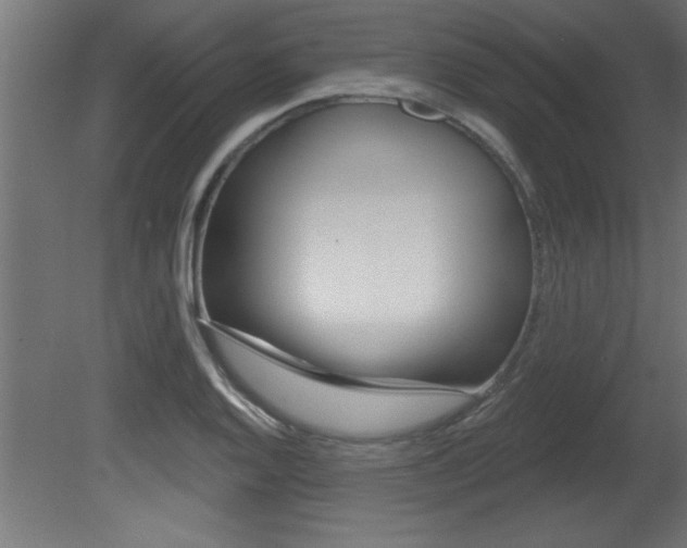 X0000081461128200701121034