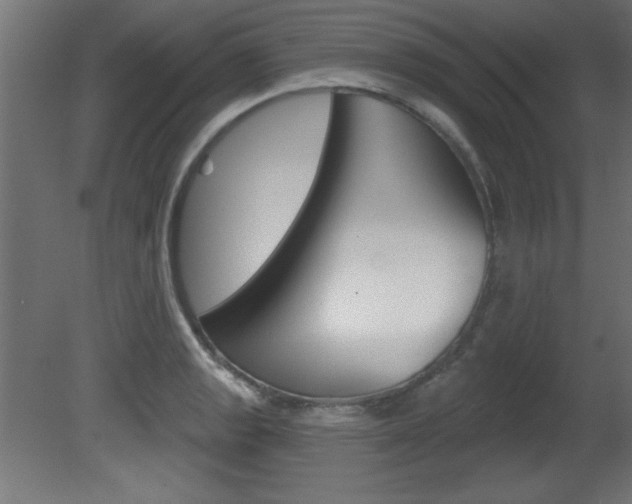 X0000081461133200701121034