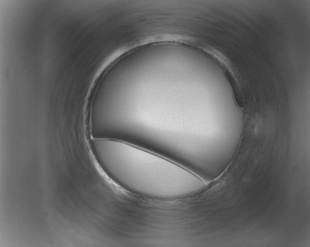 X0000081461135200701121034