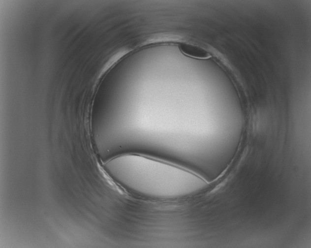 X0000081461137200701121034