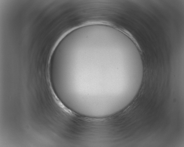 X0000081461140200701121034