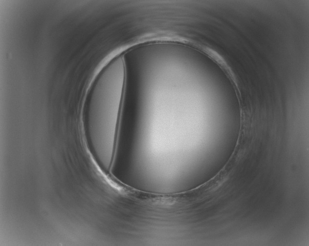X0000081461141200701121034