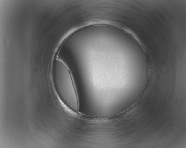 X0000081461143200701121034