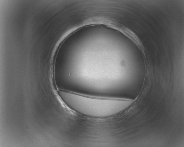 X0000081461144200701121034