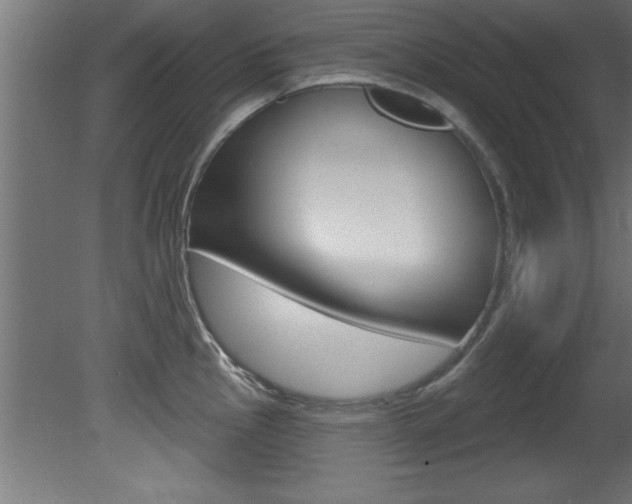X0000081461145200701121034