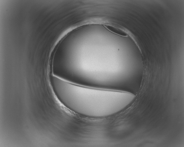 X0000081461147200701121034