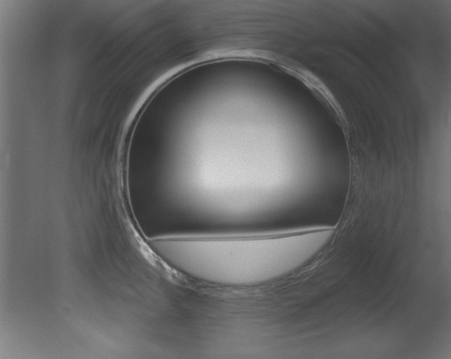 X0000081461148200701121034
