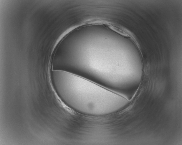 X0000081461149200701121034