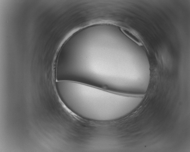 X0000081461151200701121034