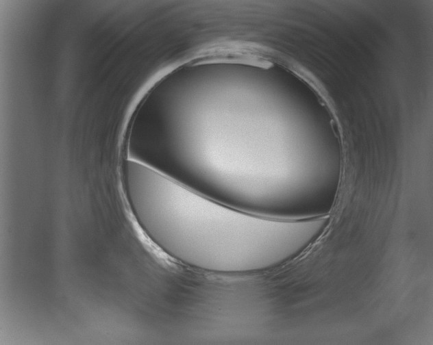 X0000081461152200701121034
