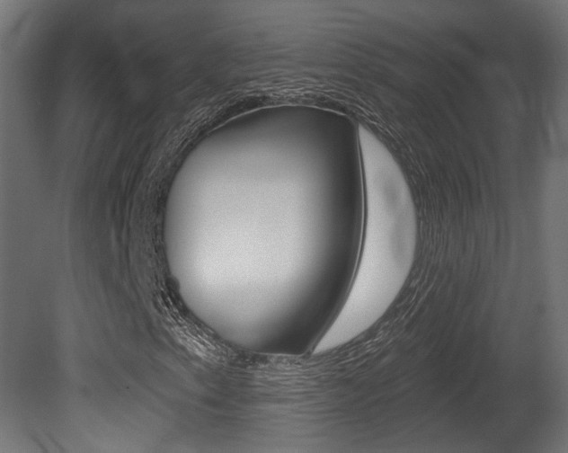 X0000081461153200701121034