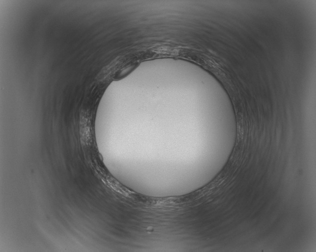 X0000081461154200701121034