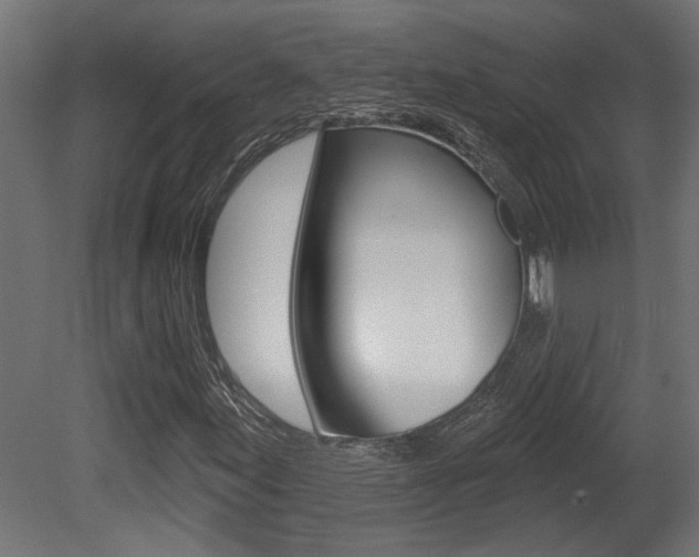 X0000081461155200701121034
